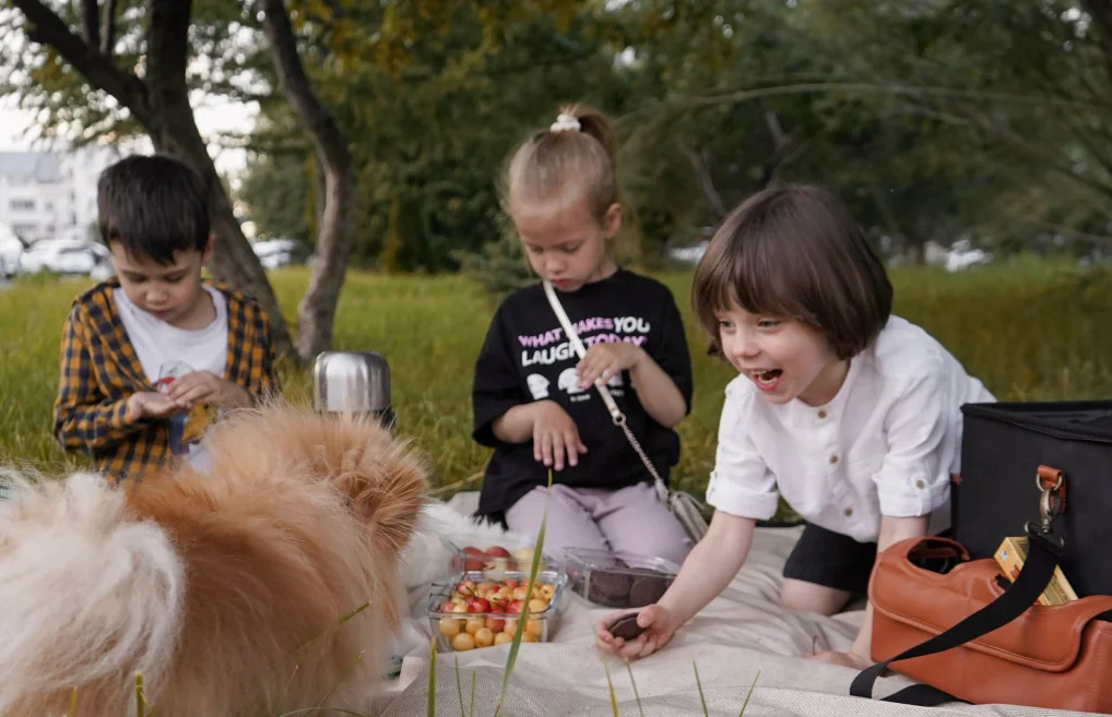 waterproof folding picnic blanket