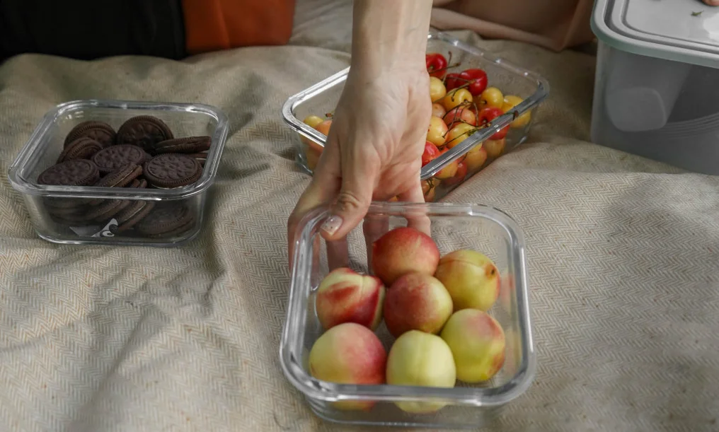 garden party picnic blanket