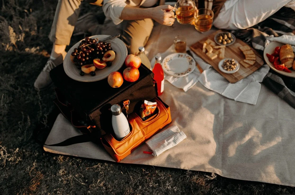 picnic blanket with handle